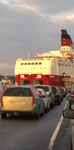 Amorella