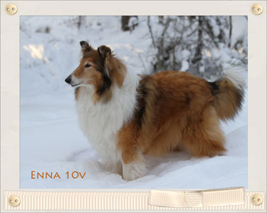 Enna 10-vuotta!