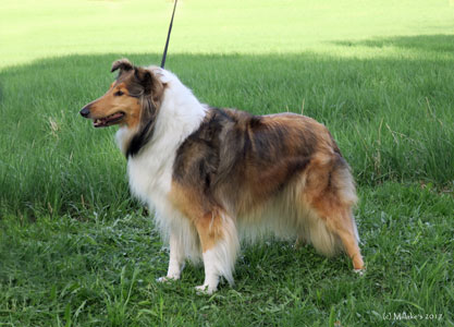 Millakes Lovely Una "Maisa"