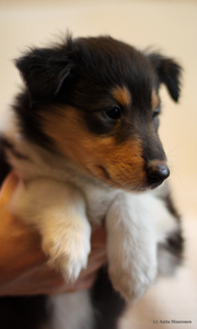 Nelly