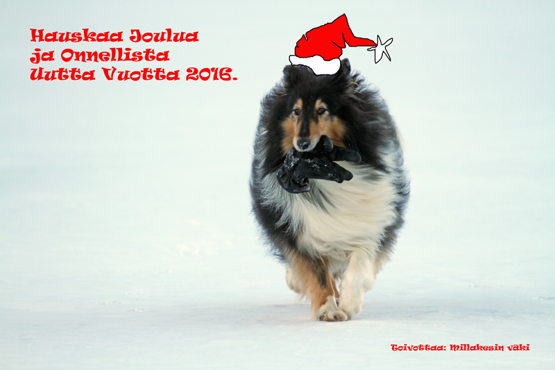 Hauskaa Joulua 2015!