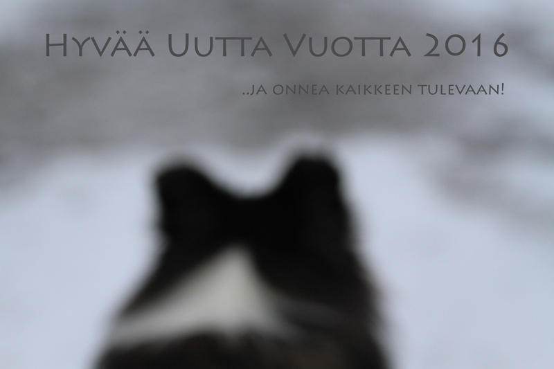 Uusi vuosi 2015 & Coco